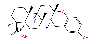 Strongylophorine 3